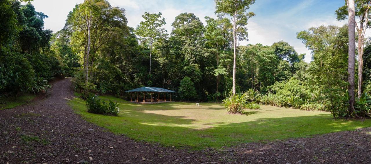 Casa Cedro - Portasol Vacation Rentals Matapalo  Esterno foto